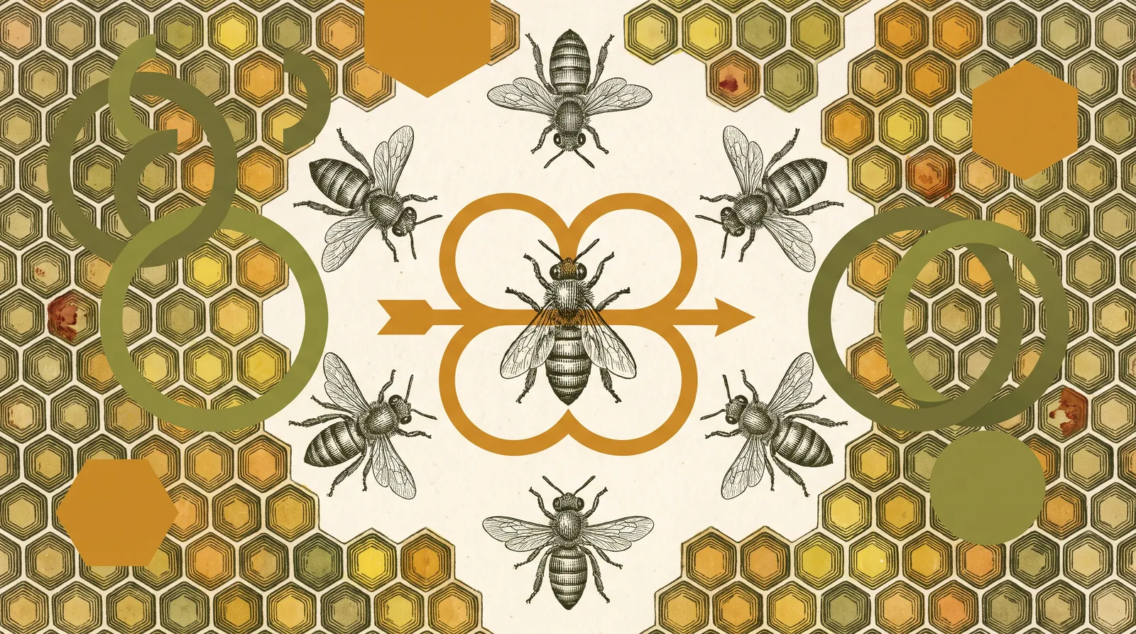 Engraved plate: a honeybee dances a figure-eight on the comb while others gather round